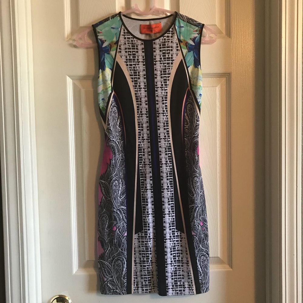 Clover Canyon Sleeveless Dress